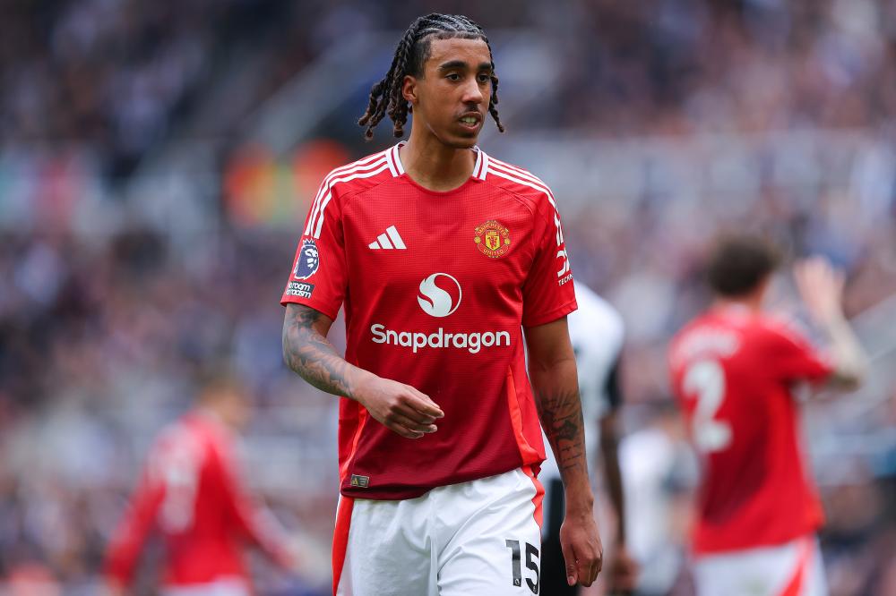 也可以利用 也可以利用